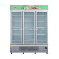 Commercial Fan Cooling Vertical Glass Door Display Freezer